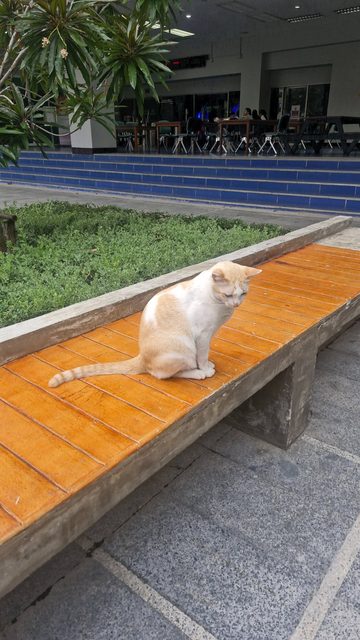 น้องศรีสุวรรณ